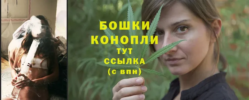 Шишки марихуана SATIVA & INDICA  где найти   Анива 